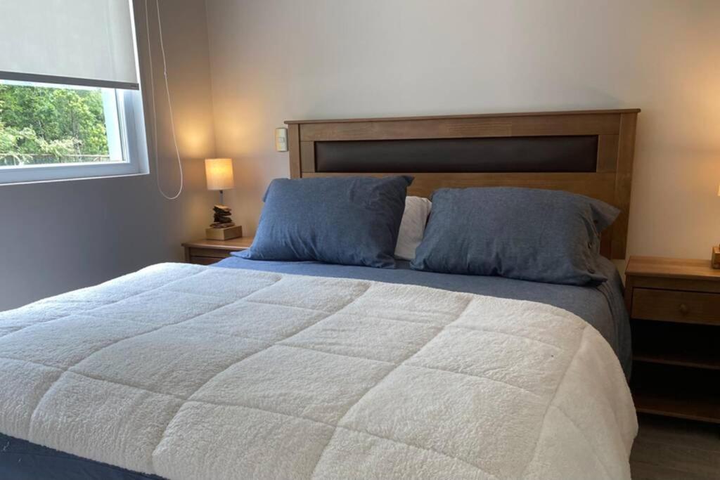 Apartment New Deluxe Near And Volcano Pucon
