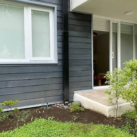 New Deluxe Apartment Pucon near Lake&Volcano Exterior foto