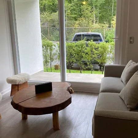 New Deluxe Apartment Pucon near Lake&Volcano Exterior foto