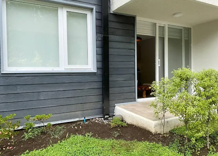 New Deluxe Apartment Pucon Near Lake And Volcano